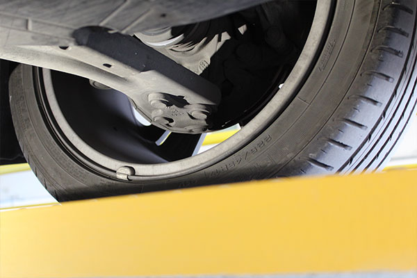 inspecoes facultativas